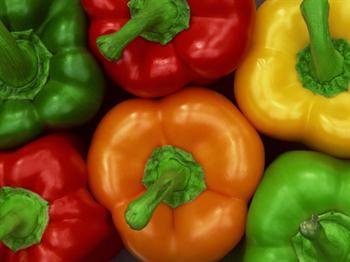 کشت فلفل رنگی در گلخانه